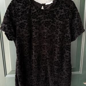 NWT Teddi Rose Black Lace Knit Blouse w/ Short Sleeves Whimsigoth Goth Corp